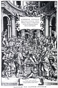 Titelseite der zweiten Ausgabe von De Humani Corporis Fabrica, Tafel 3, 1555