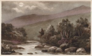 Dartmoor: Buckland Beacon