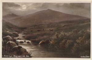 Dartmoor: River Lyd, Bray und Links Tors