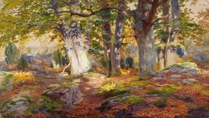 Herbstsonne nach Regen, Fontainebleau von Andrew MacCallum