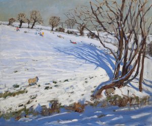 Kinder rodeln, Derbyshire von Andrew Macara