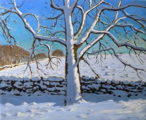 Schneebedeckter Baum, 2011 von Andrew Macara