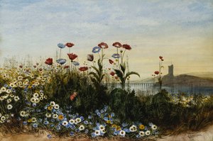 Ferry Carrig Castle, Co. Wexford, durch eine Blumenbank gesehen von Andrew Nicholl