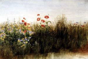 Wildblumen an einem Bach von Andrew Nicholl