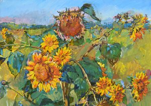 Goldenes Sonnenblumenfeld