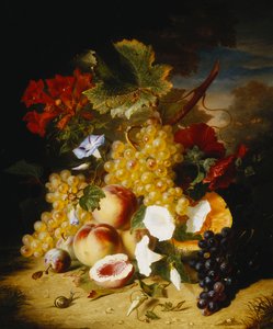Pfirsiche, Trauben, eine Melone, Winden und andere Blumen in einer Landschaft
