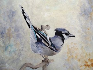 Blauhäher auf einem Ast von Angeles M. Pomata