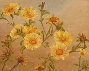 Goldene Gartenblüten von Angeles M. Pomata