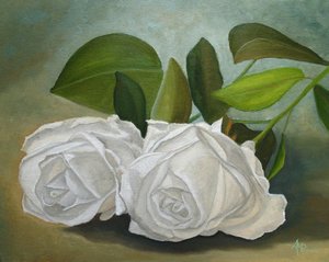 Weiße Rosen
