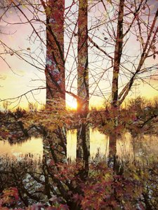 Goldene Stunde Herbstreflexion von Angelo Cerantola