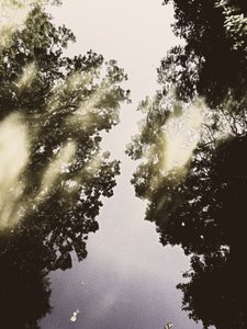 Naturgespiegelter Himmel