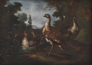 Landschaft mit Vögeln von Angelo Maria Crivelli