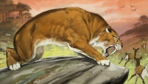 Säbelzahntiger auf der Jagd von Angus McBride