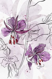 Lila Aquarellblüten