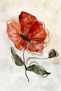Roter Aquarellmohn