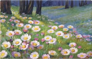 Gänseblümchen, Postkarte, 1940er Jahre von Anna Haller