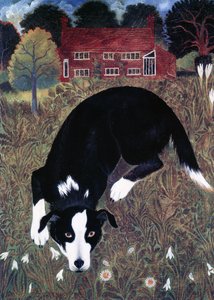 KEINE METADATEN von Anna Pugh