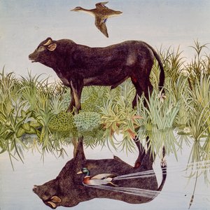 Reflektierend, 2004