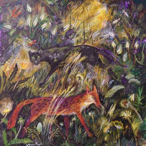 Der Panther & der Fuchs von Anna Pugh