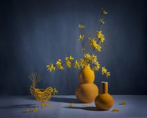  von Anna Qu
