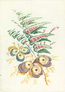 Fantastische Blumen mit Austernschalenblüten, ca. 1795