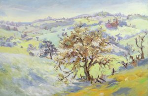 Von Udimore nach Peasmarch, Sussex, im Winter
