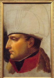 Porträt von Napoleon I (Studie für die Übergabe der Stadtschlüssel von Wien)