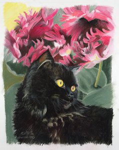 Schwarze Tulpen von Anne Robinson
