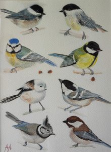 Charmante Gartenvögel