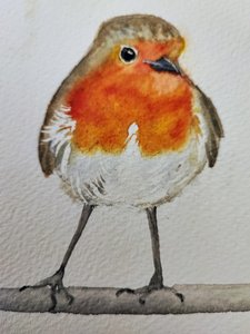 Niedlicher Aquarell-Rotkehlchen von Annette Armitage