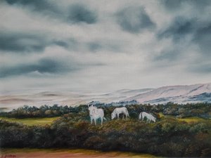 Gelassene Moorland-Ponys von Annette Armitage
