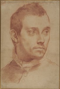 Porträt eines jungen Mannes von Annibale Carracci