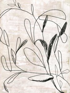 Botanische Linienzeichnung