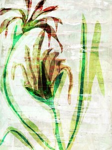 Geschichtete Gartenblüten
