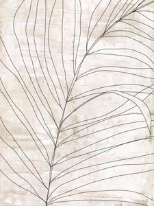 Minimalistische botanische Linien