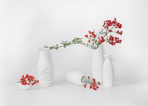 Minimalistische Rote Beerendarstellung von Annie Poreider