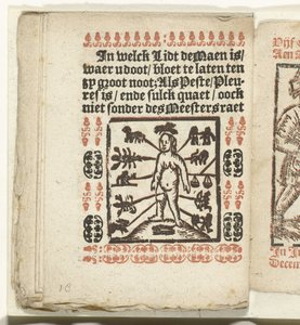 Seite mit den Stellen am menschlichen Körper zum Aderlassen, 1712 von Anonymous