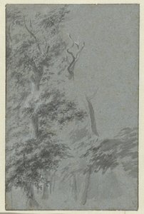 Waldansicht