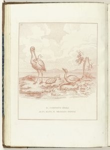 Komitee der Hohen, Niederen und Mittleren Herrlichkeiten, 1795 von Anonymous