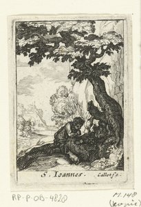 Der reuige Johannes der Täufer (S. Ioannes) (De boetvaardige heiligen) von Anonymous
