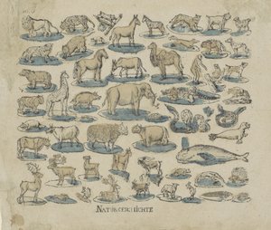Tiere