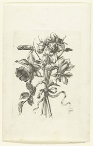 Drei Blumen, darunter eine Narzisse und eine Nelke von Anonymous