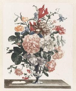 Fünf Drucke von Blumen in Glasvasen von Anonymous