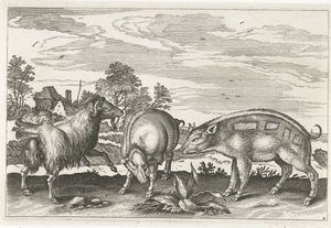 Ziege und Schweine Vierbeinige Tiere (Serientitel) Animalivm Qvaddrvpedvm (Serientitel) von Anonymous