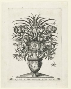 Groteske Vase mit zwei Maskarons an den Seiten eines Bukranions