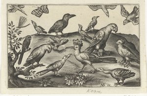 Hopfen und andere Vögel