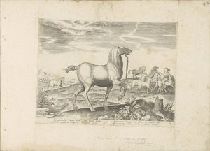 Herde wilder Pferde von Anonymous