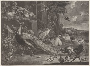 Landschaft mit Geflügel von Anonymous