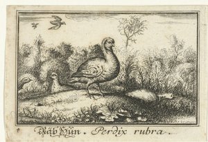 Landschaft mit Rebhühnern von Anonymous