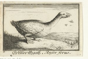 Landschaft mit Wildgans von Anonymous